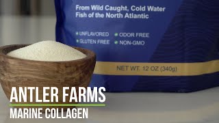 Antler Farms Marine Collagen  Pure Clean and Rapidly Absorbed [upl. by Isabelita]