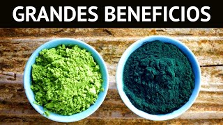 7 BENEFICIOS del ALGA ESPIRULINA anemia hipertensión diabetes y antioxidante [upl. by Ecitnirp]