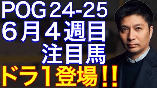 【POG2425】６月４週目デビューの注目新馬を紹介【ドラフト１位！藤田オーナーの大物候補が出世レースに登場！】 [upl. by Rhyner]