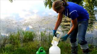 Emerged Aquatic Pond Weed Application [upl. by Anaib377]