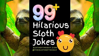 Slow Down for Laughs The Ultimate Sloth Joke Collection [upl. by Daile]