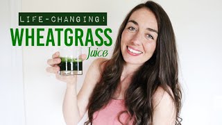 Wheat grass juice Personal benefits  Life Changing [upl. by Hanikahs]