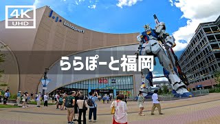 【2023年8月】ららぽーと福岡を歩いてみた【4K】 [upl. by Llerraj165]