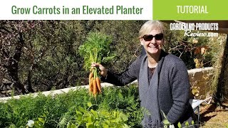 How to Grow Carrots in a Container or Planter  Gardening Products Review [upl. by Aniez]