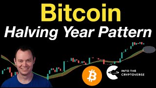 Bitcoin Early Halving Year Pattern Update [upl. by Hgielsel]