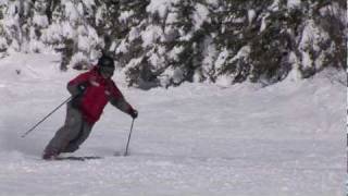 CANSI Presents Skiing Standards  Telemark [upl. by Nauht]