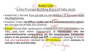 lec 15 part 1 fatty acid synthesis [upl. by Ahtibat365]