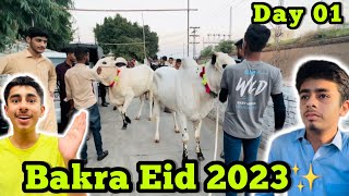 Bakra Eid 2023😍DAY 01✨ [upl. by Ogawa]