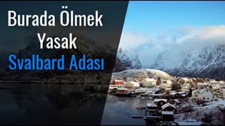 ÖLMENİN YASAK OLDUĞU YER SVALBARD ADASI [upl. by Esilana]