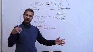 Immunology Neutrophil Lecture 3 Part 8 [upl. by Fairman]