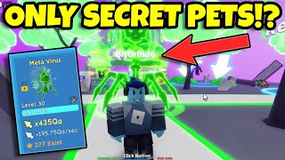 BEATING Clicker Simulator Using only Secret Pets Roblox [upl. by Nuriel]