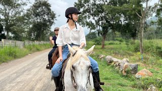 Visiting Khaoyai Thailand for the first time  ROADTRIP  HORSERIDING [upl. by Seavey]