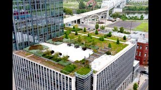 Presentation from Steven Peck Green Roofs for Healthy Cities [upl. by Niroht]