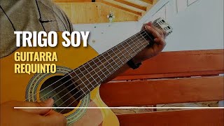 TRIGO SOY  Requinto  punteo cristiano  Guitarra [upl. by Tterag]