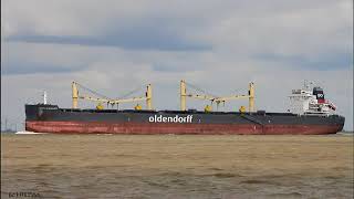 GEORG OLDENDORFF  Shipspotting Germany 🇩🇪 IMO 9702596  River Elbe near Otterndorf [upl. by Okimik]