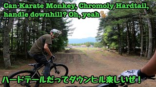 Vol119 Can Karate Monkey Chromoly Hardtail handle MTB park downhill Oh yeah Ver2024 [upl. by Austen]