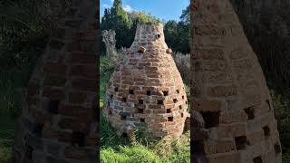 The worlds first Bottle Kiln Bug Hotel Est 2022 [upl. by Anwahsad]