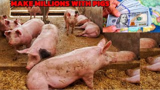 How To Start Piggery Farm in 2024 No Smell Less Costs High Profits method [upl. by Euqirat]