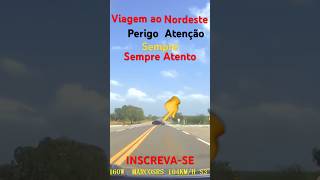 Viagem ao Nordeste 2023 [upl. by Emmalee]