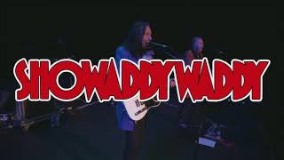 Celebrate 50 years of Showaddywaddy at Hull City Hall [upl. by Brenk]