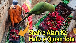 Shah e Alam Ka Hafiz e Quran Tota Aur Uski Mazar  Ahmedabad Dargah Gujarat [upl. by Kinch988]