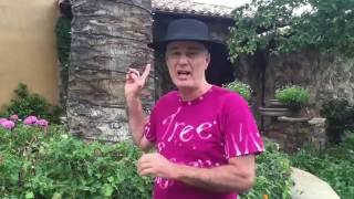 Canary Island Palm Trees and Fusarium Wilt by Gary Walker The Tree Whisperer [upl. by Anitsrhc]