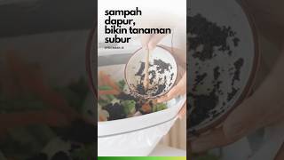 Sampah Dapur Bikin Tanaman Subur  Kompos dari Sampah Dapur Sampah Rumah Tangga [upl. by Aruabea823]