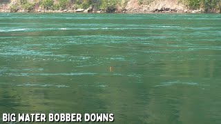 White Bass Fishing in the Niagara River  BOBBER DOWNS [upl. by Yerroc]