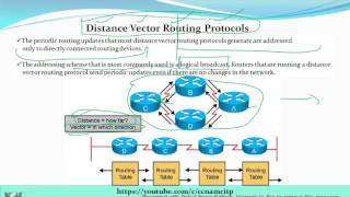 Distance Vector Routing Protocols   HINDI [upl. by Clyte]