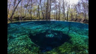 Nymano  I Wish I Could Sleep Extended With DALLMYD  Ginnie Springs FL [upl. by Brigitta]