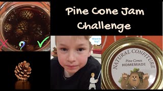 Pine cone jam challenge [upl. by Petrick]