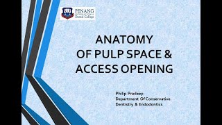 Anatomy of pulp space amp Access opening [upl. by Selyn42]