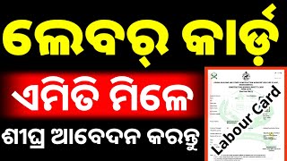 labour card apply process 2024 in odia  odisha labour card online apply [upl. by Pahl]