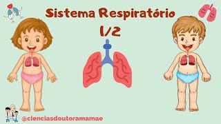 Sistema Respiratório 5º ano fundamental 12 [upl. by Auqcinahs]