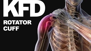 Ćwiczenia na rotatory  rotator cuff  KFD [upl. by Ylrac]