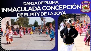 TEMASTIÁN 2023 Danza de Pluma “Inmaculada Concepción” de “El Pity” de La Joya Torreón Coah [upl. by Annaerda932]