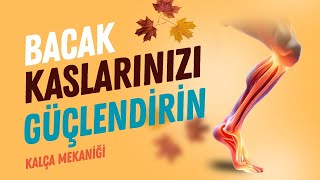 Bacak Kaslarını Güçlendir [upl. by Hershell]