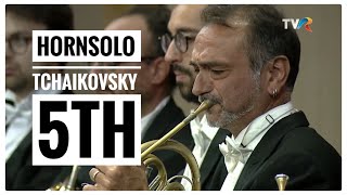 Tchaikovskys 5th Symphony Horn Solo [upl. by Kalinda]