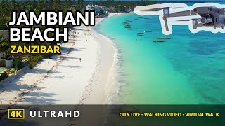 Jambiani Zanzibar 4K ❤️ Cinematic Drone Footage  2021 [upl. by Phillipp]