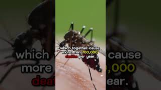 7 Facts About Mosquitoes You Need To Know uniquewildlife [upl. by Atiuqat612]