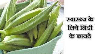 भिंडी के फायदे  bhindi ke fayde  Lady Finger Benefits In Hindi  bhindi ke fayde hindi mein [upl. by Rolando]