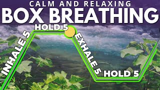 Guided Box Breathing for Anxiety 5555 [upl. by Anujra986]