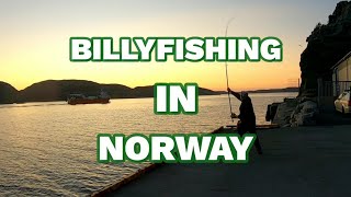 Shore fishing in Osen Norway spinning and surfcasting [upl. by Aniara]