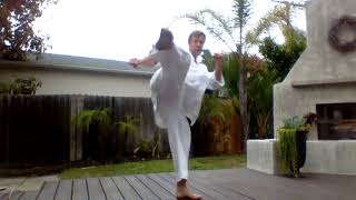 Sensei Ian Frost  Karate FollowAlong Class 1 [upl. by Fiske]