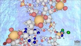 The Mechanism of Cisplatin New HD [upl. by Thaxter]