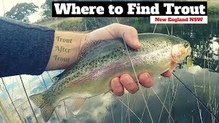 Where to find Trout New England NSW  Big Rainbow Trout Go Crazy [upl. by Schoenberg972]