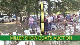 Miller Show Goats Auction Dublin TX [upl. by Vargas259]