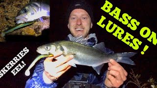 LURE FISHING FOR BASS AT NIGHT  Lots of School bass [upl. by Inek793]