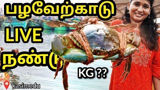 Pazhaverkadu Crab LIVE  Kasimedu Fish Market [upl. by Chloris]