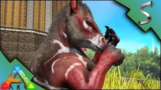 CHALICOTHERIUM TAMING BREEDING  IMPRINTING  Ark Survival Evolved S3E70 [upl. by Otsugua830]